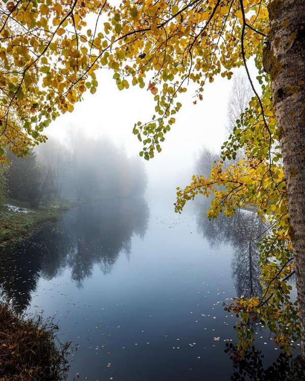 ранняя осень