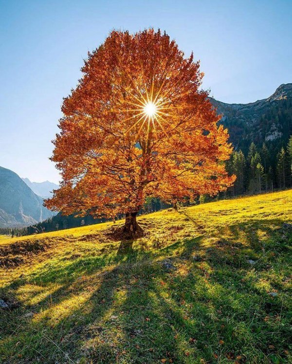 пейзажи осенние