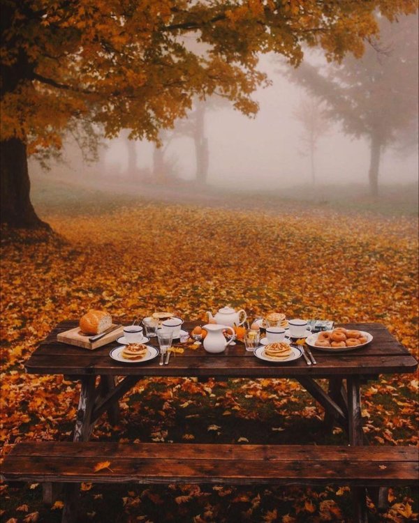 осеннего утра