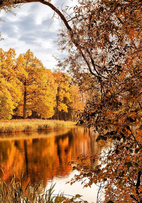 осенние пейзажи