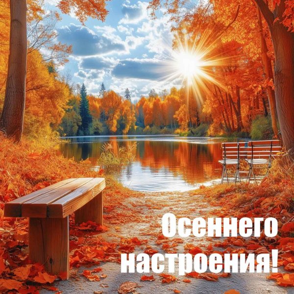 с добрым утром осенний пейзаж