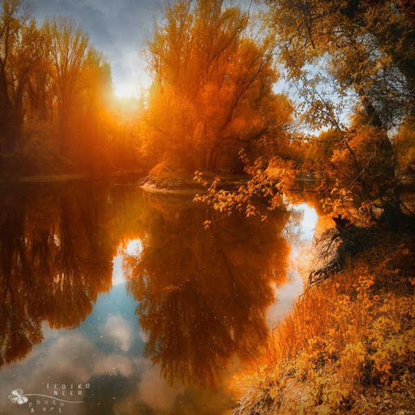 осенний рассвет