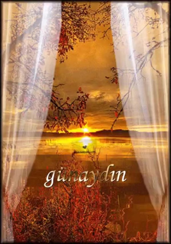 летнего вечера