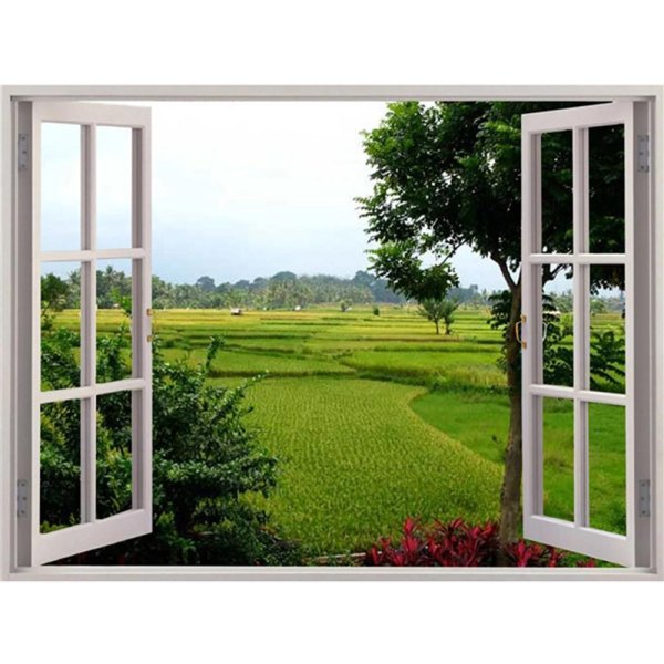 фотообои окно