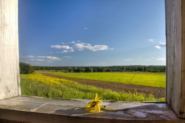 окна в деревне