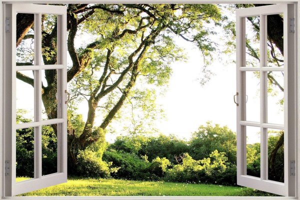 открытое окно