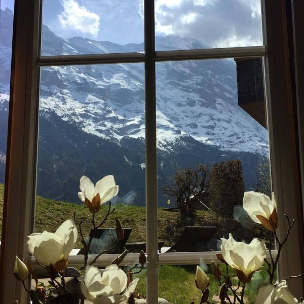 горы из окна