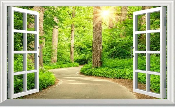 окна в лес