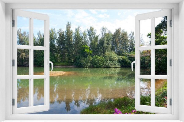 окно в природу