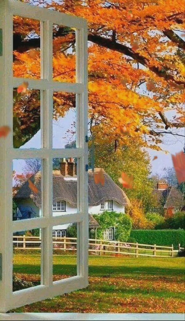 осенний пейзаж за окном