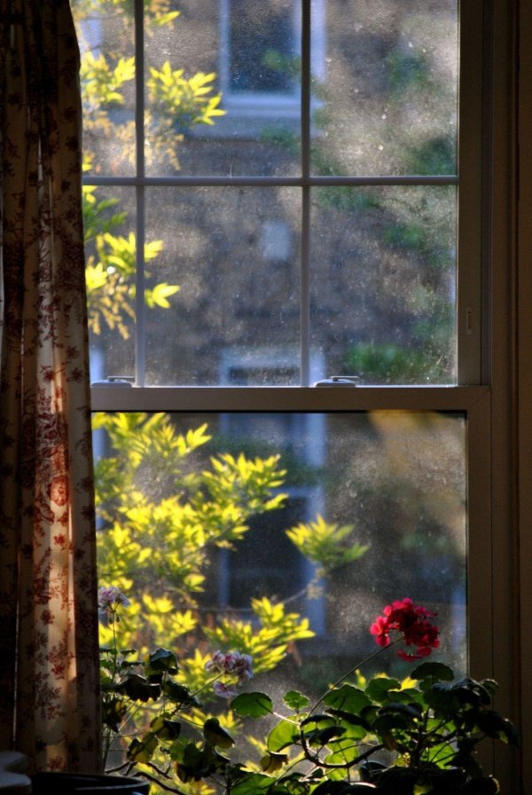 пейзаж за окном