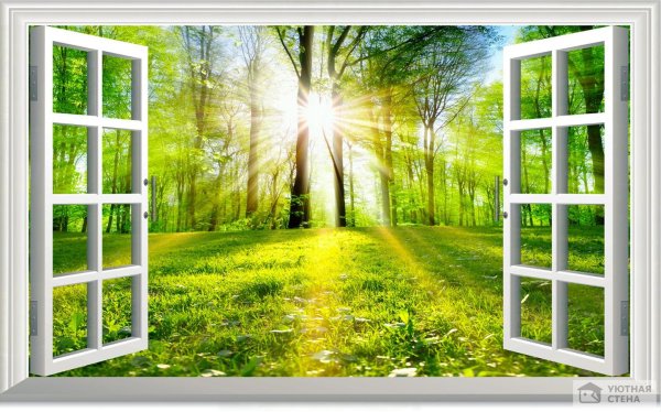 окно в природу