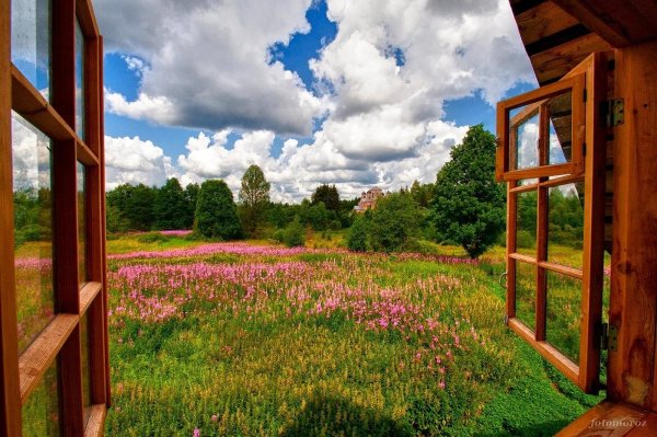 вид из деревенского окна