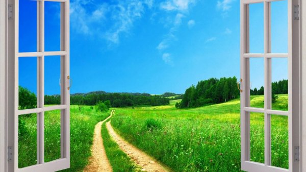 фотообои окно