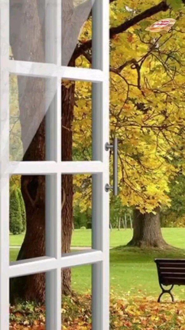 осенний пейзаж за окном