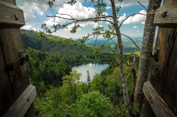 национальный парк шумава чехия