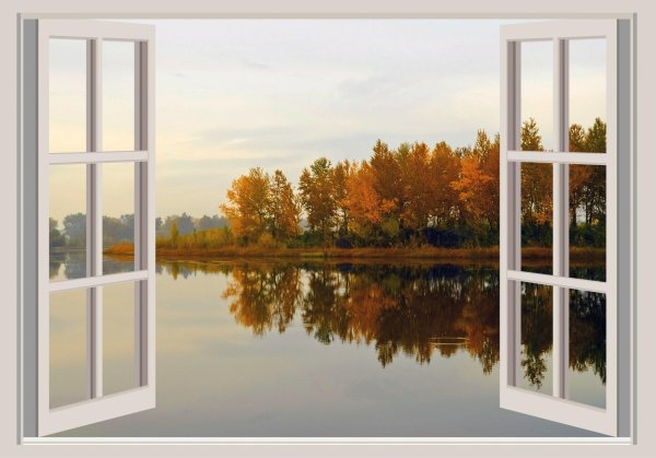 природа за окном