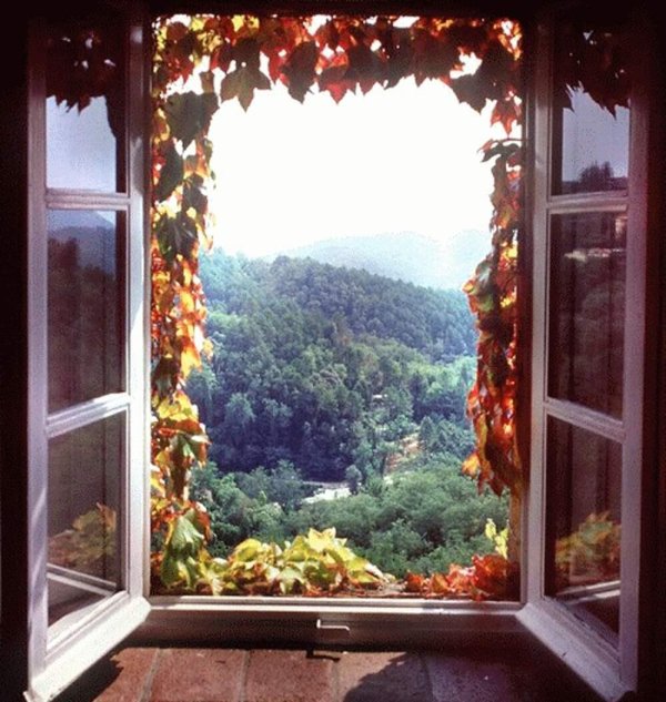 осень за окном