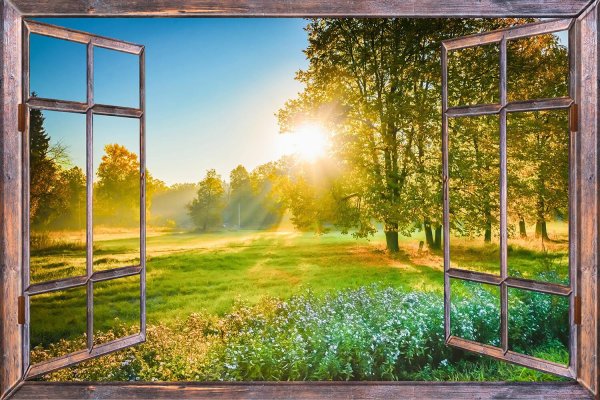 природа за окном