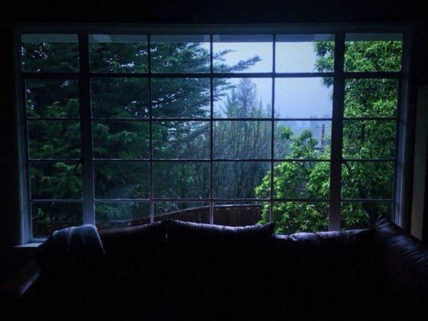 красивые виды из окна