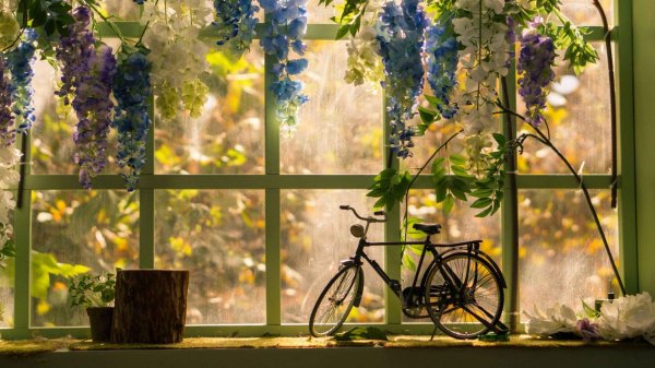 велосипед цветы