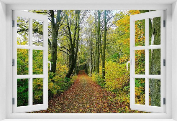 окно в природу