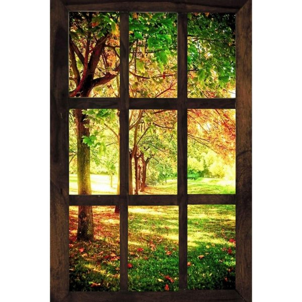 окно в осень