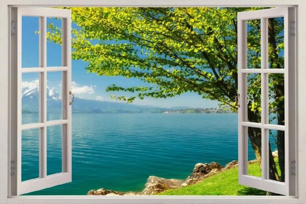 фотообои окно