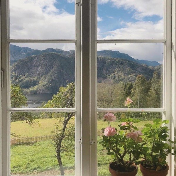 виды из окна