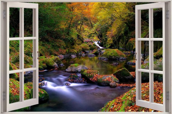 окно с видом