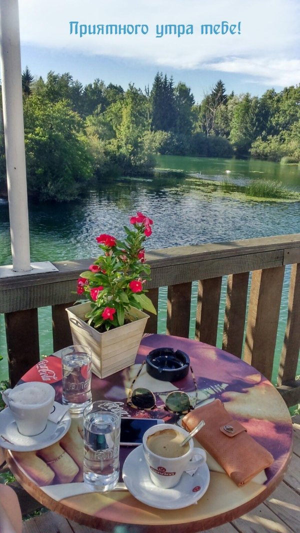 завтрак на природе