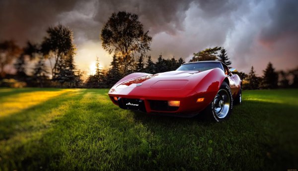 chevrolet corvette 1978