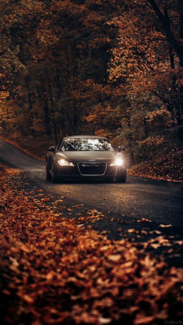 осень дорога