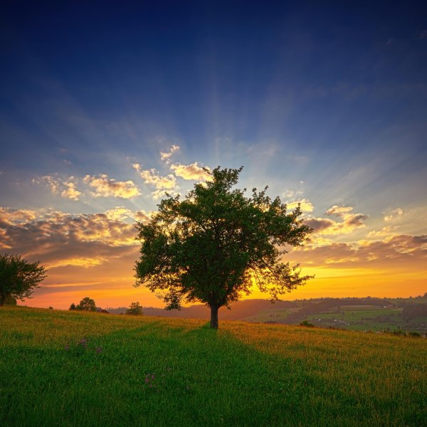 красивые рассветы