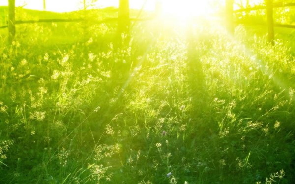 гармония природы