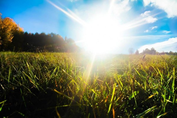 лучами солнца