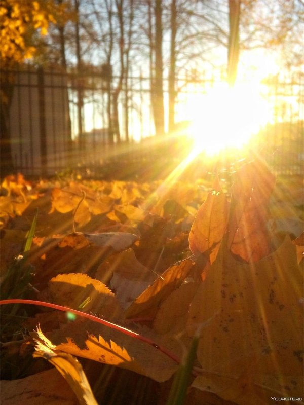 теплая осень
