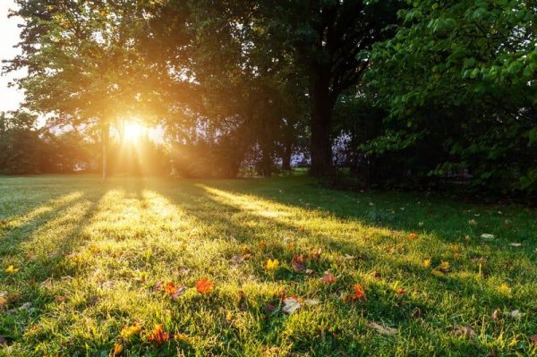 лучами солнца