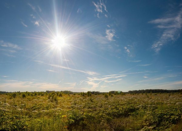солнечное небо
