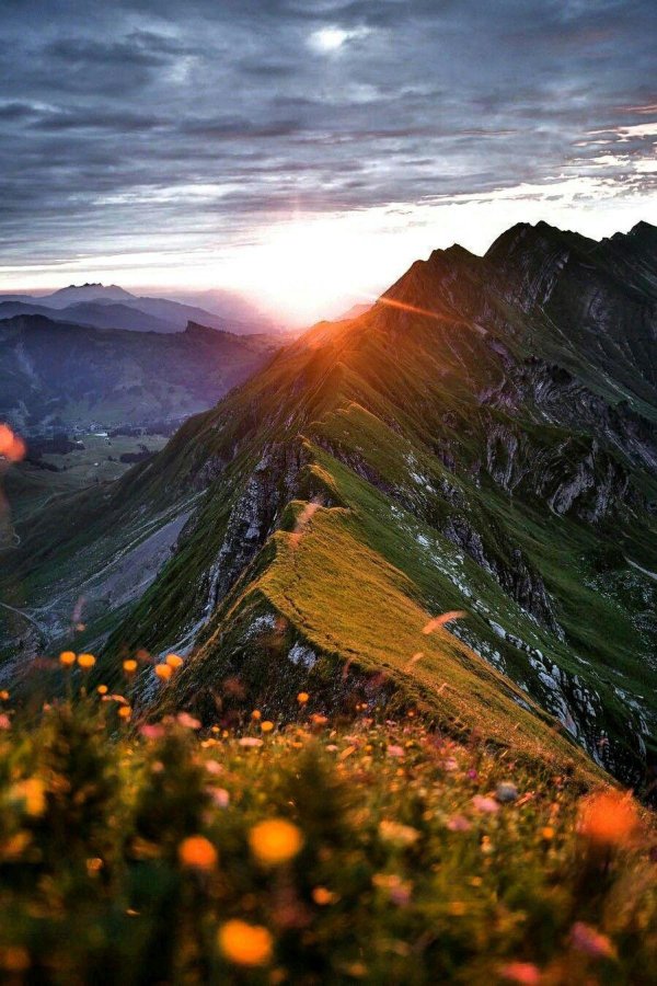 Утро природа горы