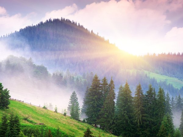 карпаты панорама украина