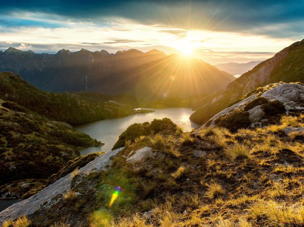 новая зеландия