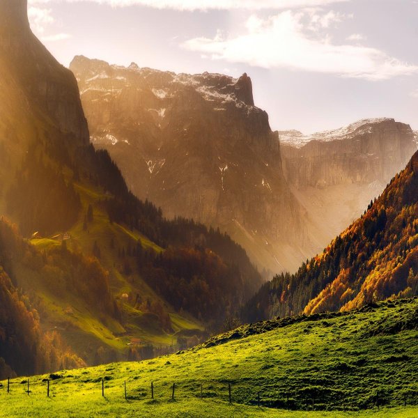 гриндельвальд швейцария ландшафт