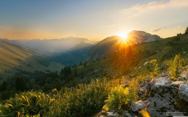 солнечная поляна алтай