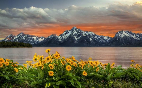 гранд титон горные луга