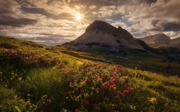 цветочная долина перуджа италия