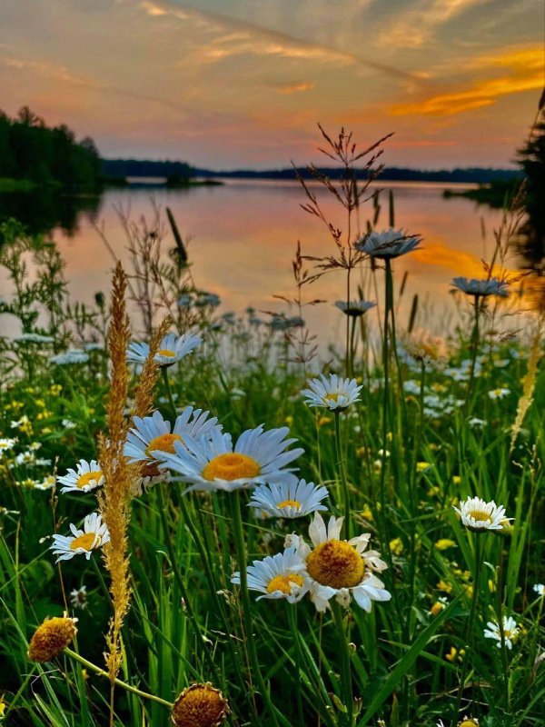 летние закаты