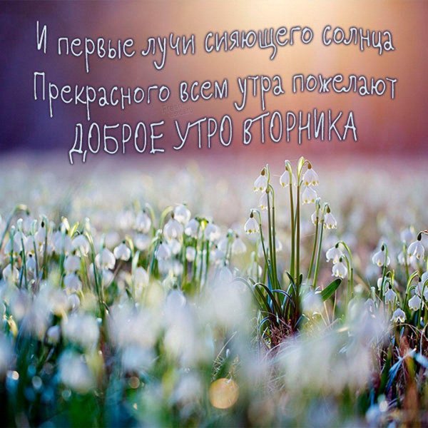 весеннего утра