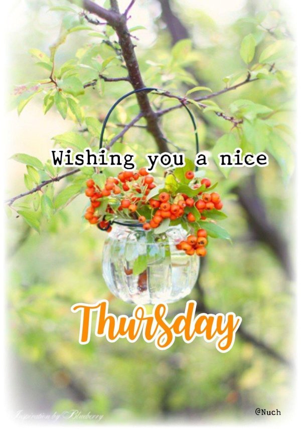 happy thursday