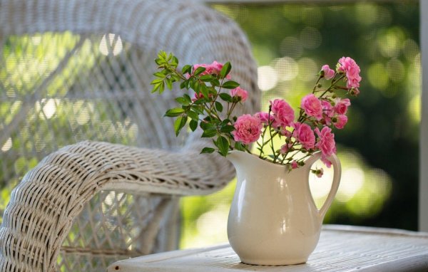 роза в вазе